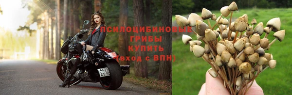 СК Алексеевка