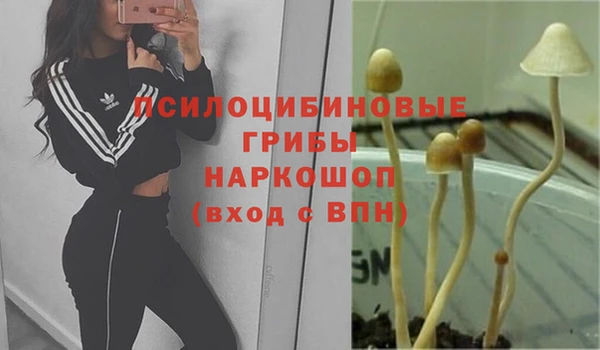 марихуана Абаза