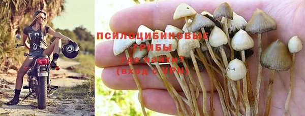 ALPHA PVP Медвежьегорск