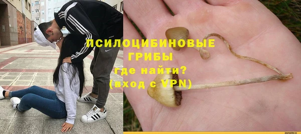 стафф Абинск