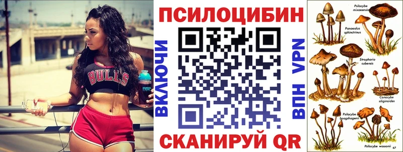 это телеграм  Воронеж  Галлюциногенные грибы GOLDEN TEACHER  закладки 