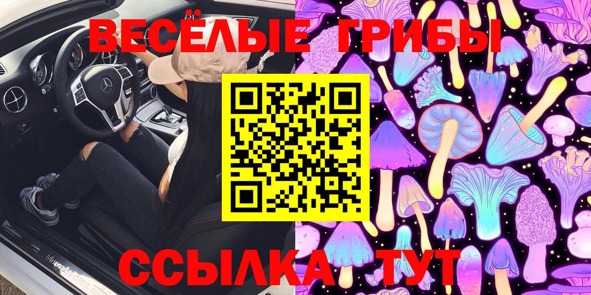 Галлюциногенные грибы прущие грибы Воронеж